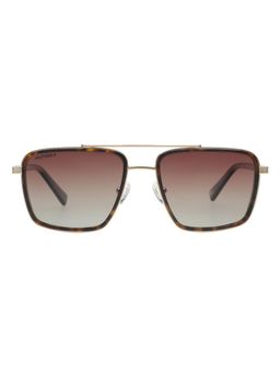 Tommy Hilfiger - Smoke Brown Lens Fashion Sunglasses With UV Protection (TH 7211PL C2) (56)