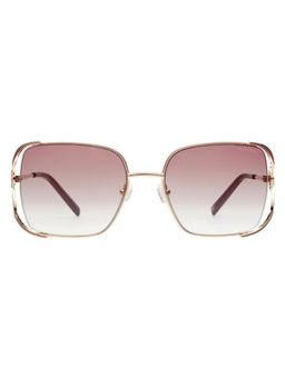 Tommy Hilfiger - Gradient Brown Lens Sunglasses With UV Protection (TH 8006 C2 Rogdwinbr-34 56) (56)