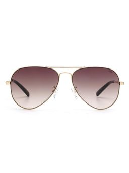 French Connection - Unisex UV Protected Aviator Brown Lens Sunglasses (58)