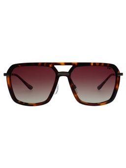 French Connection - Men UV Protected Square Brown Lens Smoke Sunglasses (56)