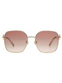 Brown color option, Sold out