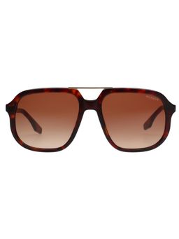 Tommy Hilfiger - Men UV Protected Square Brown Lens Smoke Sunglasses (56)