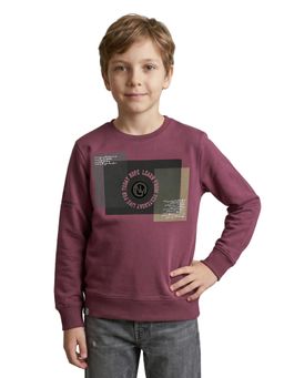 Monte Carlo - Boys Purple Regular Fit Round Neck Printed Sweatshirt