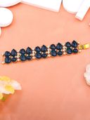 Blue color option, Currently selected