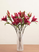 Pink color option, Currently selected
