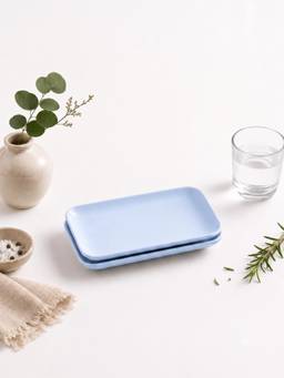 YELONA - Blue Eco-Friendly Wheat Straw Bamboo Fiber Rectangular Plates Set Of 2 Pcs