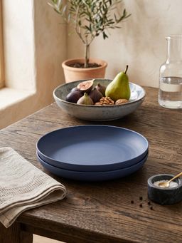 YELONA - Navy Blue Round Wheat Straw Bamboo Fiber Eco-Friendly Dinner Plates Set Of 2