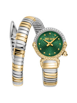 Just Cavalli - Green Dial Radiosa Analogue Women Casual Watch (JC1L350M0065) (M)