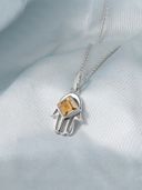 Silver color option, Currently selected