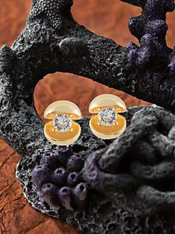 E2O - Gold Brass Earrings