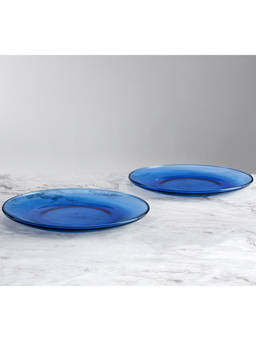 India Circus by Krsnaa Mehta - Sky Blue Dinner Plates (Pack of 2)