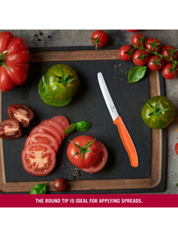 Victorinox - Swiss Classic Orange Knives