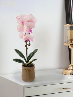 The Better Home - Real Touch Potted Orchid With Cement Pot (Light Pink)