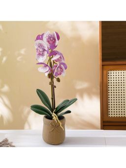 The Better Home - Real Touch Potted Orchid With Cement Pot (Pink & White)