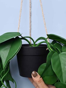 Voncasa - Plastic Hanging Planter