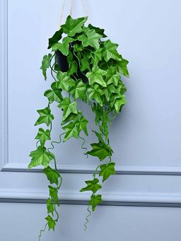 Voncasa - Plastic Hanging Planter