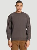 Grey color option, Currently selected