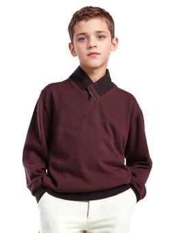 RARE ONES - Boys Dark Maroon Cotton Solid Zipper Regular Fit Sweater