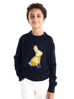 RARE ONES - Boys Mipo Navy Blue Embroidered Regular Fit Sweater