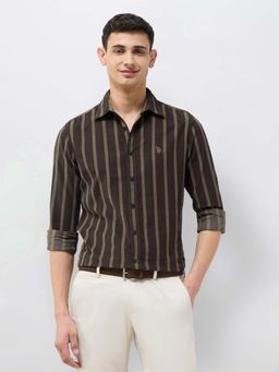 U.S. POLO ASSN. - Brown Stripes Tailored Fit Shirt