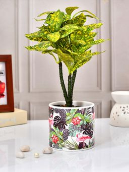 Tayhaa - Flamingo Hue Ceramic Planter Pot