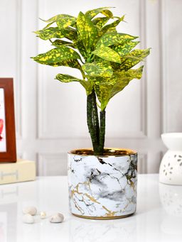 Tayhaa - Marble Print Ceramic Planter