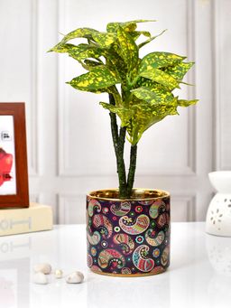 Tayhaa - Artistic Elegance Ceramic Planter