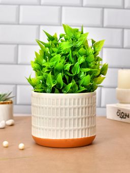 Tayhaa - Cream Striped and Orange Ceramic Planter