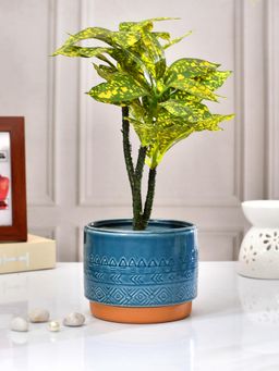 Tayhaa - Blue Oasis Ceramic Planter