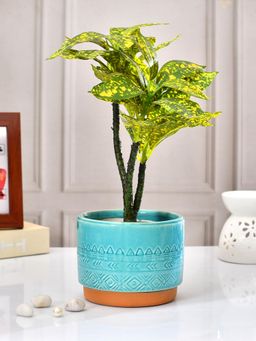 Tayhaa - Aqua Oasis Ceramic Planter