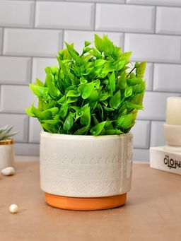 Tayhaa - White Oasis Ceramic Planter