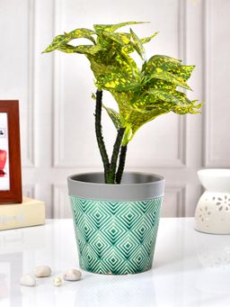 Tayhaa - Charcoal Grid Geometric Planter