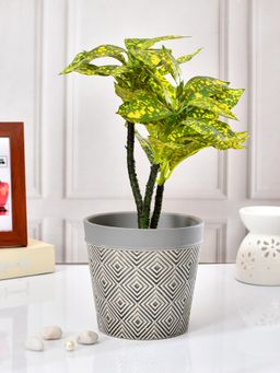 Tayhaa - Ivory Prism Geometric Planter