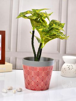 Tayhaa - Crimson Matrix Geometric Planter