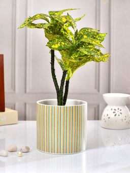 Tayhaa - Multi Thin Lines Ceramic Planter