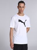 White color option, Sold out