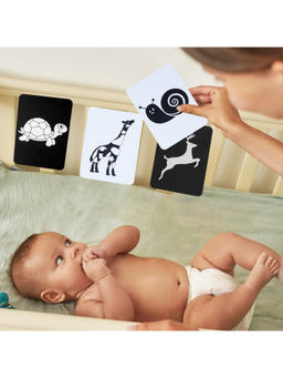 Baby Moo - High Contrast Flash 36 Cards - Bundle of Animals, Vehicles & Patterns (Pack of 36)