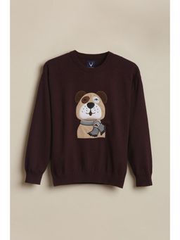 Allen Solly - Boys Maroon Embroidered Sweater