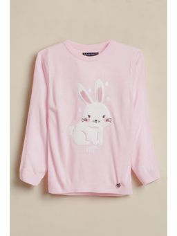 Allen Solly - Girls Pink Embroidered Sweater