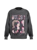 Grey color option, Currently selected