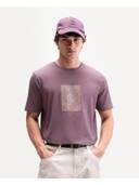 Purple color option