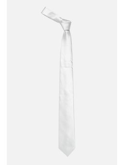 Allen Solly - Men Grey Solid Formal Ties