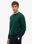 Green color option, Currently selected