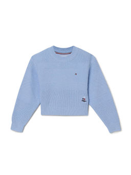 Tommy Hilfiger - Girls Blue Textured Sweater