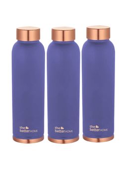 The Better Home - Copper Bottle 950 ml Purple Pack of 3