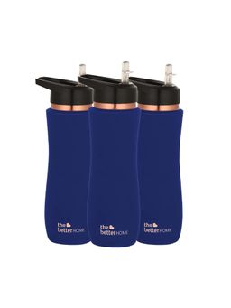 The Better Home - Copper Sipper Bottle (Blue) 700ml Pack of 3