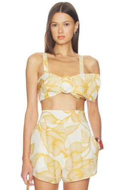 ADRIANA DEGREAS - Foliage Bralette Top