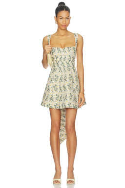 Clea - Rue Mini Dress
