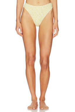 ELCE - Paloma Bottom