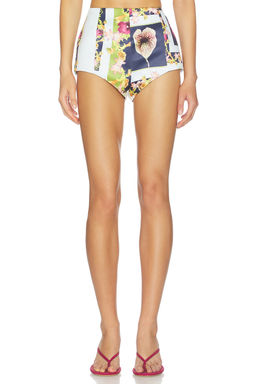 Muma World - Understory Hot Shorts